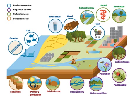 servizi_ecosis