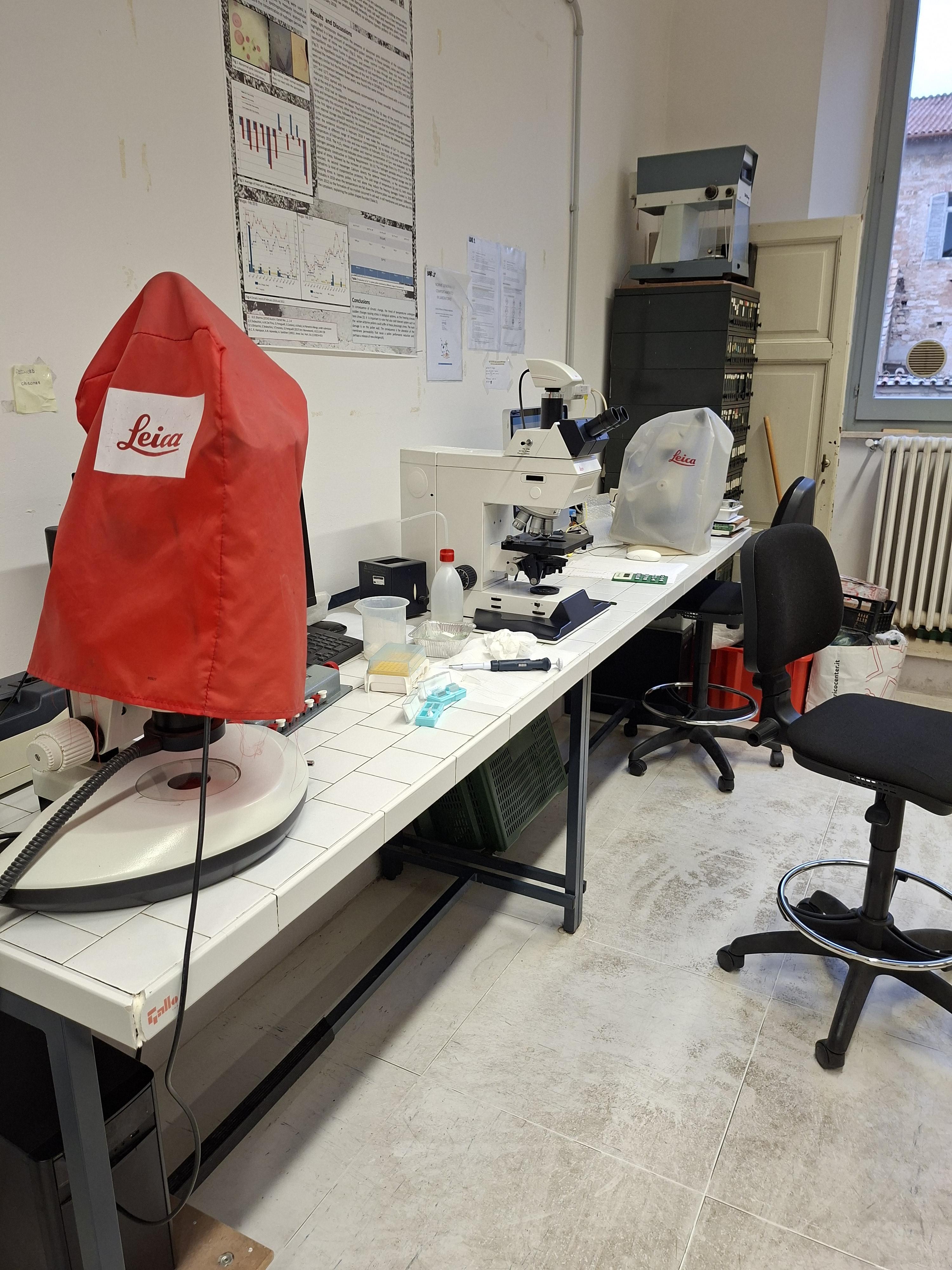 laboratorio microscopio