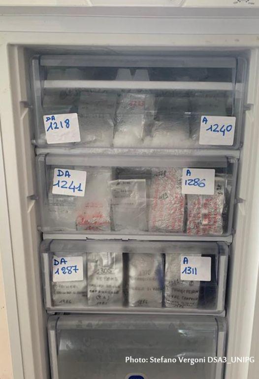 b 1024 768 0 00 images terza missione 02 freezerbancadsa3 1