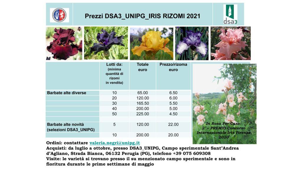 b 1024 768 0 00 images terza missione 10 schedairisdsa3
