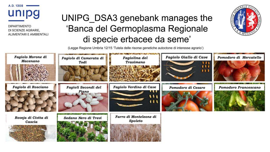 b 1024 768 0 00 images terza missione 11 bancaregionale
