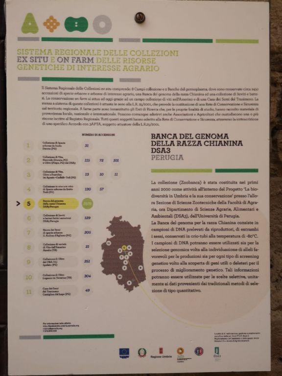 b 1024 768 0 00 images terza missione zoobanca