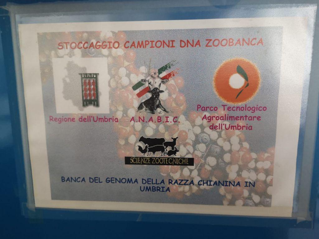 b 1024 768 0 00 images terza missione zoobanca2