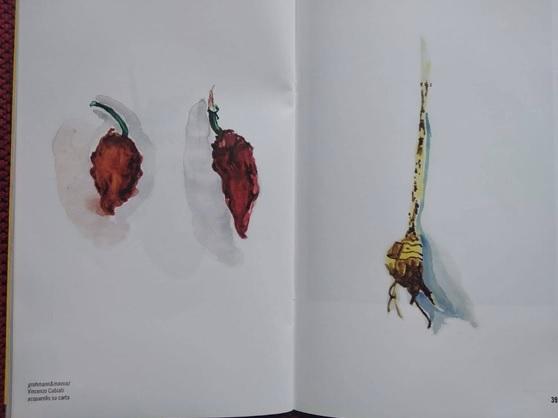 cartasonora5