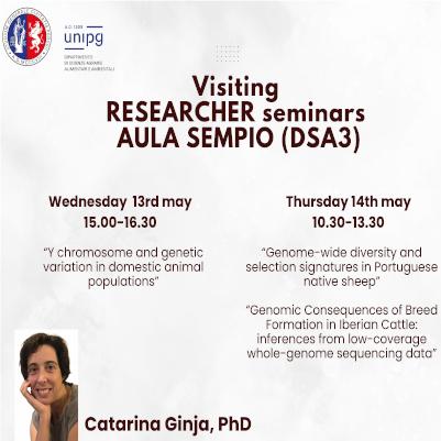 Visiting RESEARCHER seminars