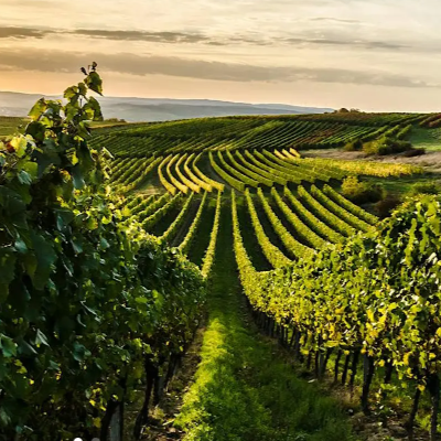 21 Maggio 2026, al postmodernissimo ore 18.30-20.00