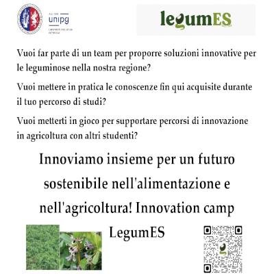 LegumES innovation camp