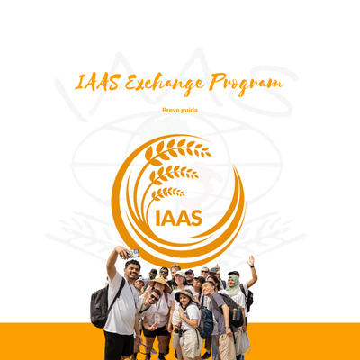IAAS Exchange Program